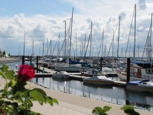 a bunch of boats docked in a marina at Spacious Apartment in Boltenhagen with Garden in Tarnewitz
