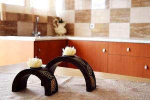 para czarnych okularów siedzących na blacie kuchennym w obiekcie Sky-Line Apartments w mieście Afandu +37 zdjęć