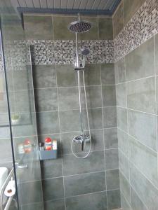 a shower with a shower head in a bathroom at Marques House in Machico