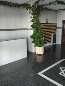 una planta en la esquina de una habitación en Perla 5, primera línea de playa y centrico, en Fuengirola