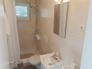 Koupelna v ubytování Apartman s pogledom