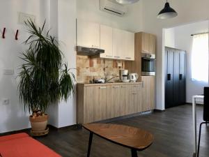 a kitchen with white cabinets and a plant in a room at Fine & Shine in Pula