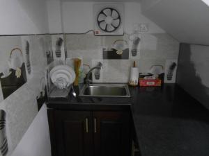 Kuchyň nebo kuchyňský kout v ubytování Villa Rodrigo