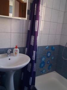 een badkamer met een wastafel en een douchegordijn bij Apartments Erceg in Omiš
