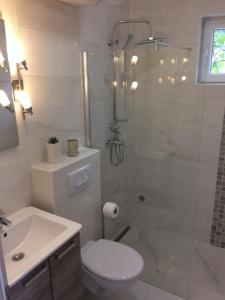Koupelna v ubytování BDM apartment