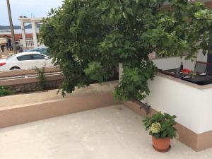 Fotografie z fotogalerie ubytování BDM apartment v destinaci Drage