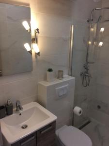 Koupelna v ubytování BDM apartment