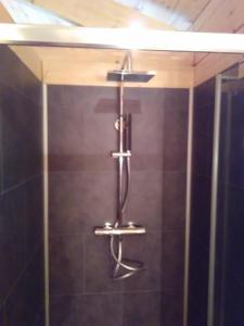a shower with a shower head in a bathroom at La Grange et Le Nid in Biscarrosse +42 photos