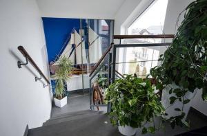 Fotografie z fotogalerie ubytování Pokoje Gościnne Hafen Guesthouse - Władysławowo v destinaci Władysławowo