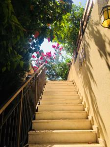 Gambar di galeri bagi Art Apartments di Midrakh ‘Oz