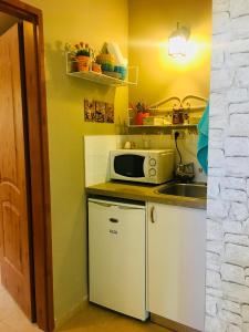 Kuchyň nebo kuchyňský kout v ubytování Art Apartments
