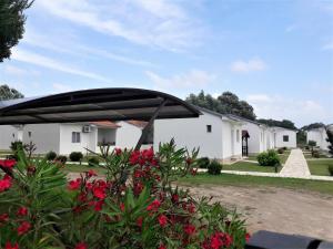 Zahrada ubytování Beni Bungalows
