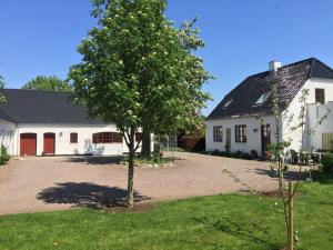 a tree in front of a white house at Hegnsly in Odder