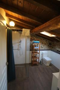 a bathroom with a shower and a toilet at Pazo de Chaioso in Maceda