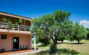 a house with a tree in front of it at Casa Vista with spectacular view and gas BBQ in Capitana
