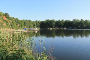 ショルフハイデにあるFerienappartement am See II im Biospharenreservat Schorfheideの背景の大水