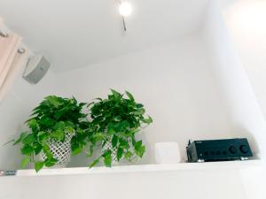 Uma TV ou centro de entretenimento em Dimora Simius