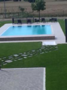 a swimming pool with chairs in a grass field at B&B La Gioiosa in Assisi