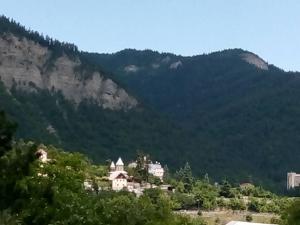 una casa en una colina frente a una montaña en Guest House Borjomi, en Borjomi