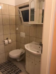 Koupelna v ubytování Apartma Mahnič