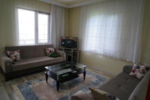 a living room with a couch and a tv at Gumul pansiyon in Uzungöl