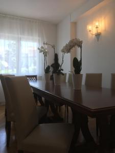 a dining room table with five plants on it at Robin Rooms in Montegranaro