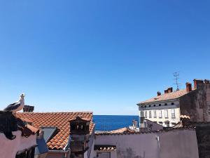 a bird sitting on the roof of a building at Altana Mario in Piran