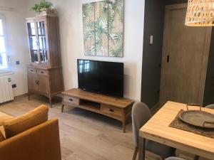 Televízia a/alebo spoločenská miestnosť v ubytovaní Apartament Neret II