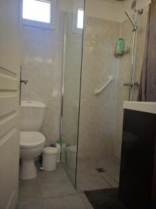 a bathroom with a toilet and a glass shower at Le Mas de la Tortue (Toit Terrasse) in Caromb