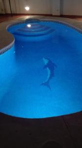 The swimming pool at or close to Riu Tolox