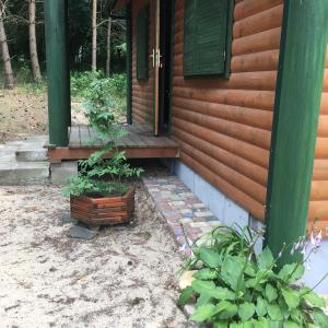 Vonkajšia záhrada v ubytovaní Agroturystyka Oaza Ciszy i Spokoju