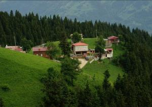 a house on top of a green hill with trees at Gumul pansiyon in Uzungöl