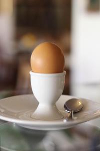 Fotografie z fotogalerie ubytování Hotel Kanz v destinaci Egg am Faaker See