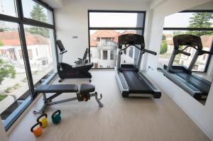 a gym with three treadmills and three windows at Hotel Castellum in Čakovec