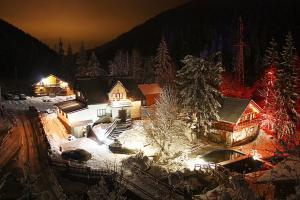 a house covered in snow at night with christmas lights at садиба "У Наталії" in Tatariv