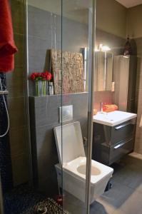 een badkamer met toilet en wastafel bij calme et charme in Avignon +26 foto's