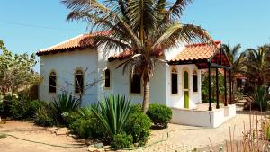 a white house with a palm tree in front of it at Torre Sabina in Vila do Porto