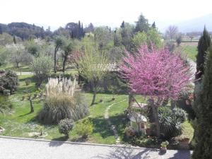 Vonkajšia záhrada v ubytovaní Villa San marco