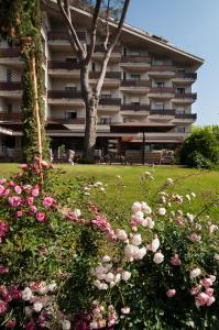 Zahrada ubytování Hotel Michelangelo & Day SPA