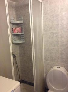a bathroom with a white toilet and a shower at Stella's Maisonette in Siviri +21 photos