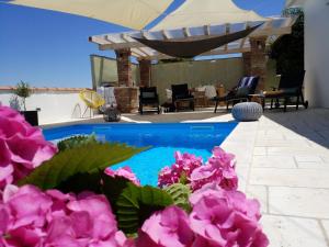 een zwembad met roze bloemen naast een patio bij Casa Emilia in Umag