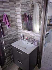a bathroom with a sink and a shower at Le Mas de la Tortue (Plain Pied) in Caromb