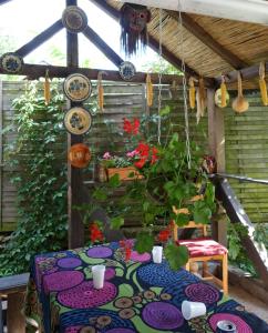 a table with plates on it with a plant on it at Pensiunea Deceneu in Slănic