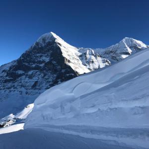 Fotografie z fotogalerie ubytování Chalet Asterix v destinaci Grindelwald