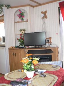 Zimmer mit einem Tisch, einem TV und Blumen darauf in der Unterkunft Ubytovani Fanisek v mobilnim domku v ceskem raji in Sobotka