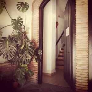 un corridoio con una pianta accanto a una porta di Casa Lareymora ad Algarrobo
