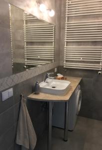 a bathroom with a sink and a washing machine at Rafael Swinoujscie in Świnoujście
