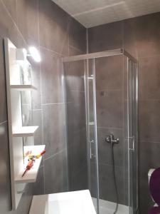 um chuveiro com uma porta de vidro na casa de banho em Rent4night Grenoble Aigle em Grenoble