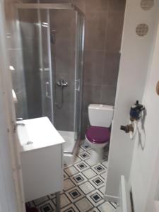 uma casa de banho com um chuveiro, um WC e um lavatório. em Rent4night Grenoble Aigle em Grenoble