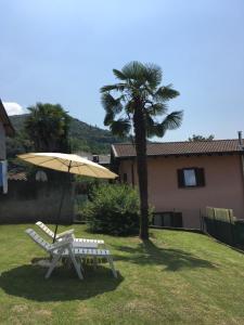 A garden outside Casa Cesira